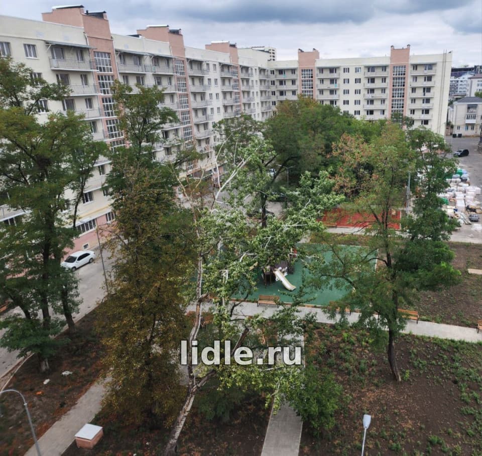 Фото объявления 4