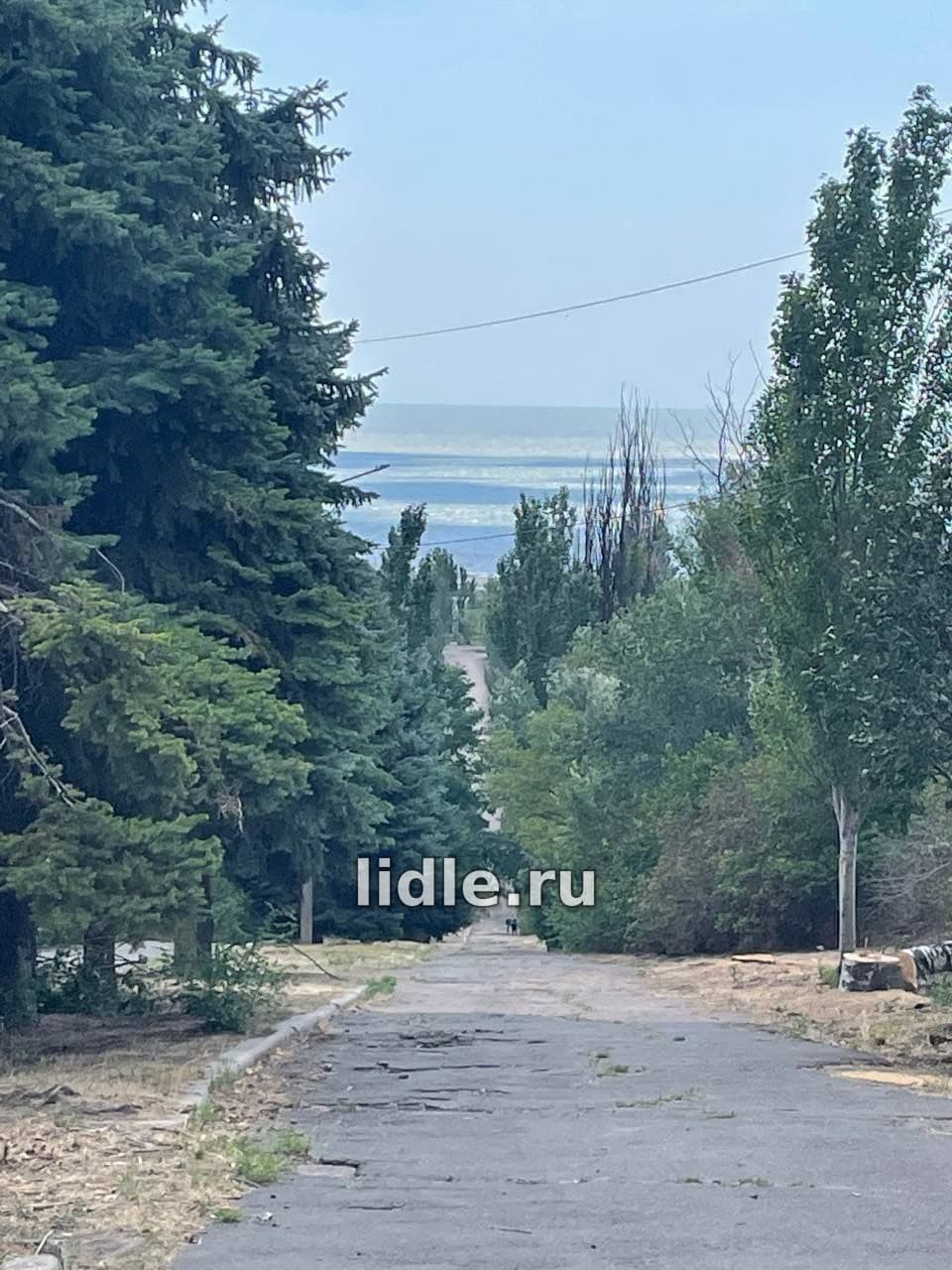 Фото объявления 2